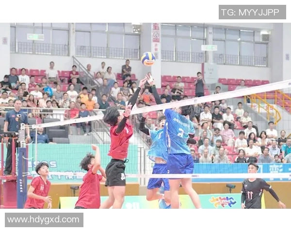 重庆排球队的节奏与魅力探讨聚焦排球运动的未来发展与挑战