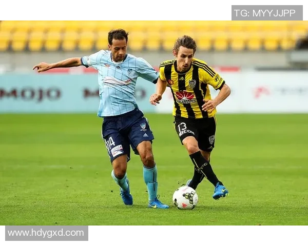 布里班狮吼与凤凰的激烈对决揭示澳超联赛的精彩与悬念